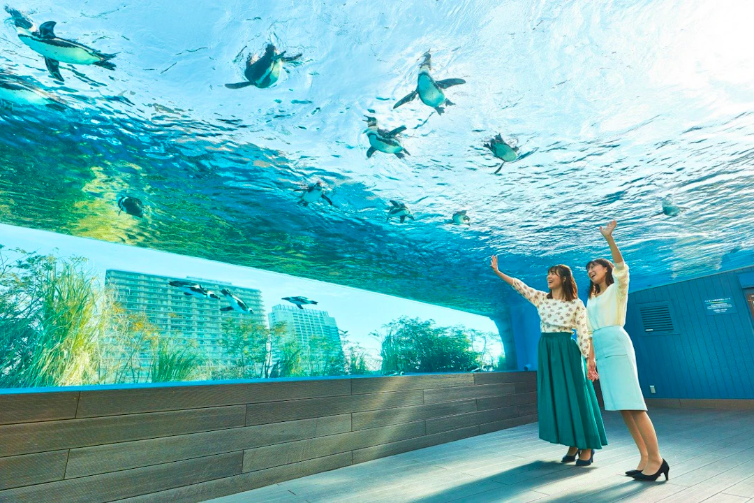 Sunshine Aquarium Tokyo Tickets Location